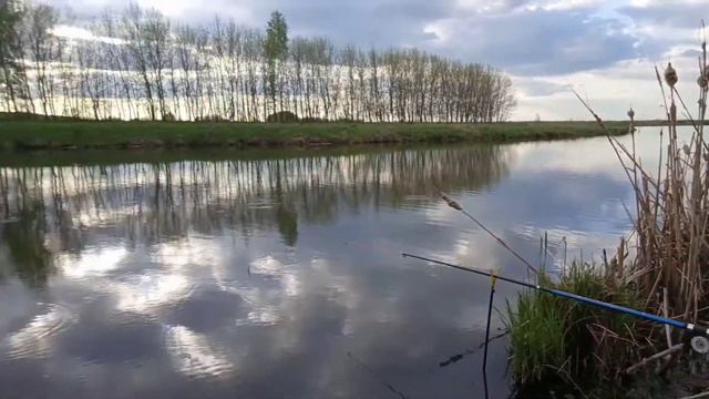 Пришли на свалку новоза за червяками потом пошли на рыбалку смотреть онлайн