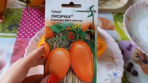 Любимый томат Лисичка. Обзор сорта и дегустация