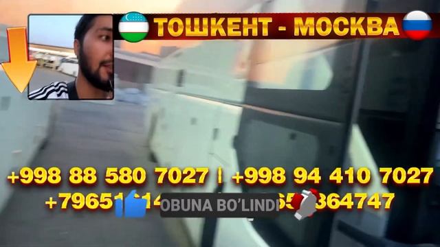 Ташкент Москва автобус Москва Ташкент автобус прямой #moskvatashkent #ташкент #москва #автобус #202 смотреть онлайн
