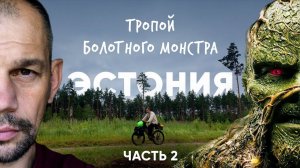 Сквозь эстонскую тайгу на велосипеде. Эстония.