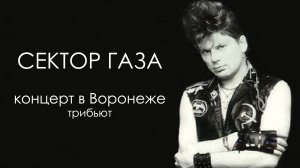 Концерт трибьют группы "Сектор Газа" в Воронеже.