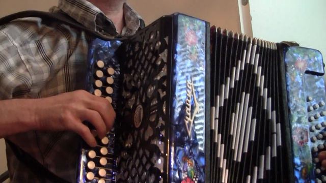 купить гармонь "Чайка NEU"в Германии * 1200€ * tel 0176 763 57953 смотреть онлайн