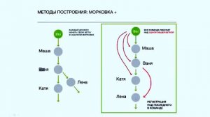 Правильное построение Морковки Сетевого бизнеса