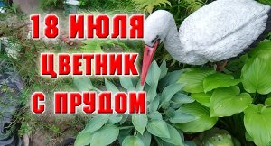 18 июля. Цветник с прудиком готов. Что тут растет