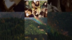 глава 1 Первая встреча "Солнце полуночи" Стефан Майер