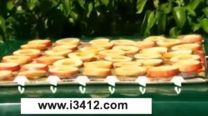 сушилка Самобранка на www.dacha-umnica.ru