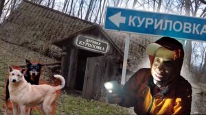 Опасная Куриловка // Заброшенная пасека // Знакомство с лесником // Радуга // Заброшенные Деревни