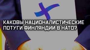 Финляндия в НАТО: чемодан без Швеции. Специальный репортаж