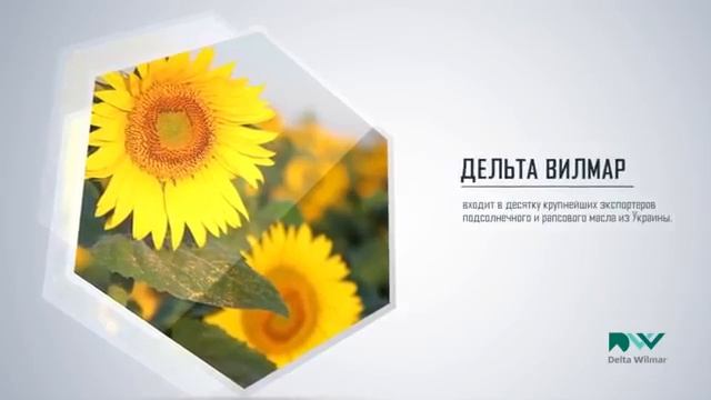 Дельта Вилмар - лидер пищевой промышленности на украинском и мировом рынке