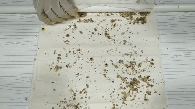 Туркча Пахлава | Турецкая Баклава | Zulya's Kitchen смотреть онлайн