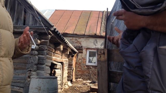 Щенкам отрезали уши на живую