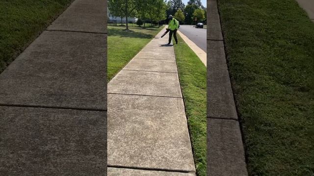 Blowing with the Stihl br800 #lawncare #mowing #echo #stihl #lawnstripes #weedeater