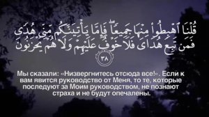 Сура Аль Бакара Красивое Чтение Саид Дубаха