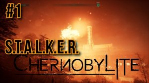 S.T.A.L.K.E.R. в виде Chernobylite