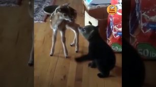 животные и дети