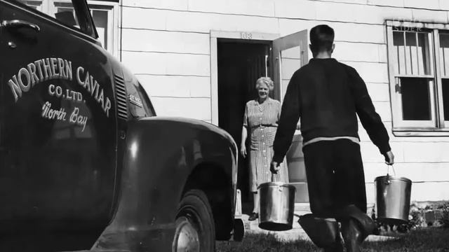 Why Caviar is Expensive !! смотреть онлайн