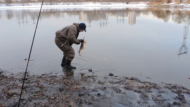 Рыбалка на Москва-реке. Щучий день. Ловля щуки на воблеры Pontoon 21. смотреть онлайн