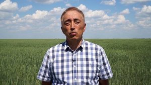 Система защиты яровой пшеницы