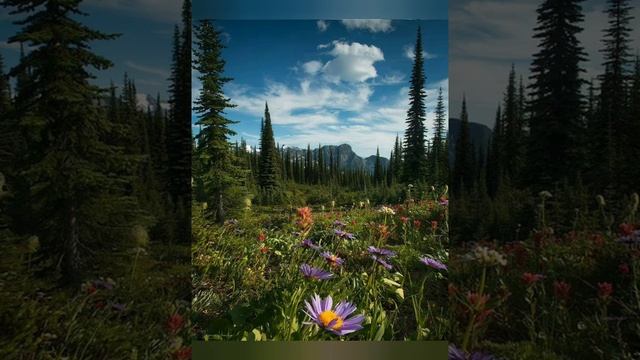 #20ноября - Федотов день..mp4 смотреть онлайн