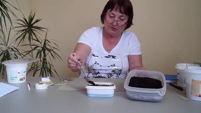 Мята,посев и выращивание.Как посеять и вырастить мяту. смотреть онлайн