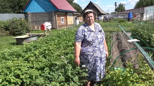 Обзор картофеля Продолжение смотреть онлайн