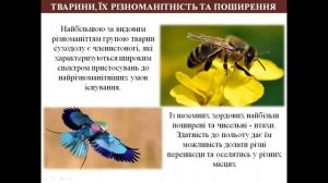 ТВАРИНИ,ЇХ РІЗНОМАНІТНІСТЬ ТА ПОШИРЕННЯ