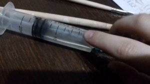 Как ухаживать за маткой чёрных садовых муравьёв