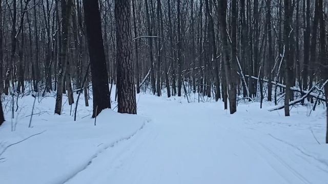 Скорость)