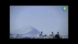 Уже 75 лет эти события остаются главной тайной Антарктиды. Есть ли в Антарктиде база инопланетян.