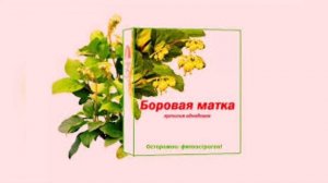Тез хомиладор булиш сири