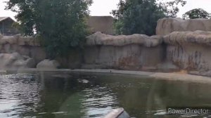 Дубай Cафари парк  \ Dubai Safari park