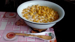Варенье из алычи с косточками рецепт заготовки на зиму