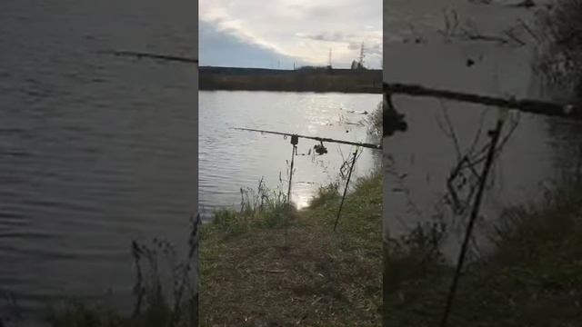 Перископ :Рыбалка с лодки на мормышку ,с берега на фидера смотреть онлайн