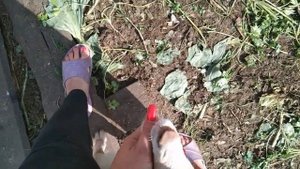 Козы съели курятник! Веселое подворье, обзор после отпуска :)