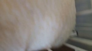 5 детская больница в Санкт-Петербурге.