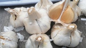 Чеснок Медвежий Коготь Сентябрь 2022 г ЕСТЬ В НАЛИЧИИ ПИШИТЕ НА ВАЦАП  89152458159  ТОЛЬКО ПИСЬМЕНН