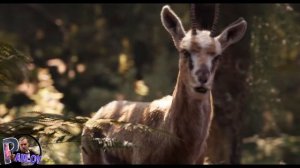 КОРОЛЬ ЛЕВ 1994 VS РЕМЕЙК КОРОЛЬ ЛЕВ 2019 /ЭТО ПРОСТО ДИКИЙ УЖАС!