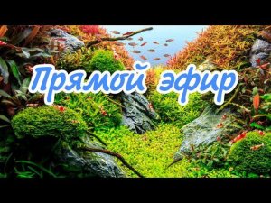 СУББОТНИЙ ПРЯМОЙ ЭФИР