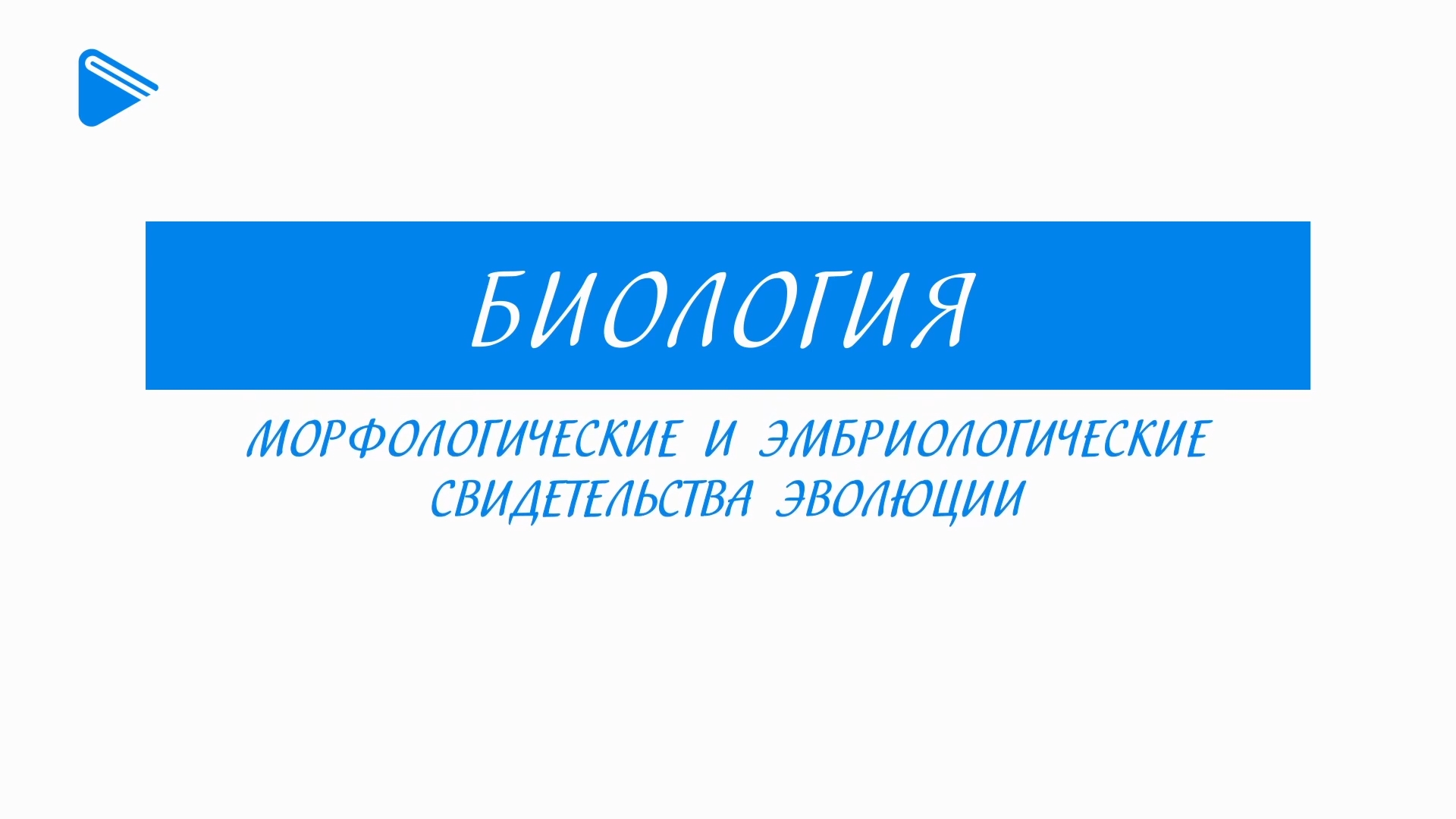 11Класс - Биология - Морфологические и эмбриологические свидетельства эволюции