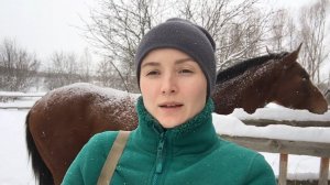ЖИВЕМ ОДНИ В ДЕРЕВНЕ.  ПОСЫЛКА НА НОВЫЙ ГОД