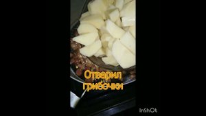 13 июля 2023 г.