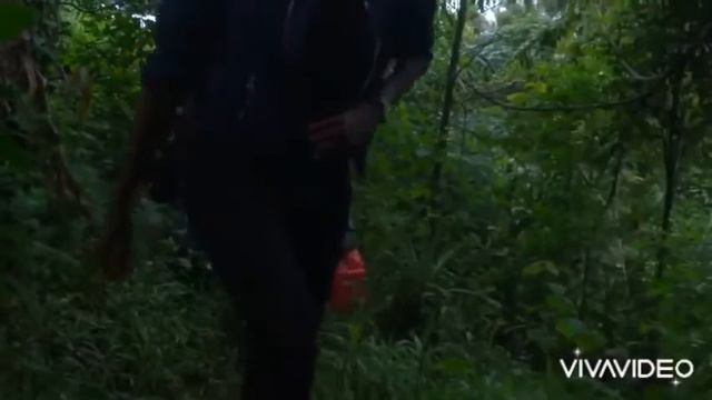 8 Необычных животных которых вы возможно увидите в первые в жизни😳 смотреть онлайн