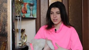 Мое первое мнение о бордер колли | Трудности с породой