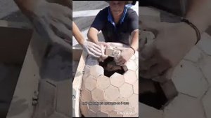 Помпейская печь - собрать как конструктор за пару часов.