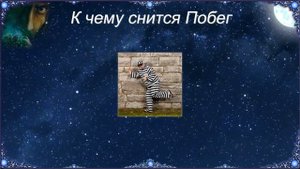 К чему снится Побег (Сонник)