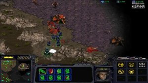 История StarCraft - Часть 1