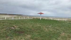 Купить домик у моря участок 6 соток в Крыму рядом с пляжем