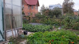 работа в саду. сентябрь