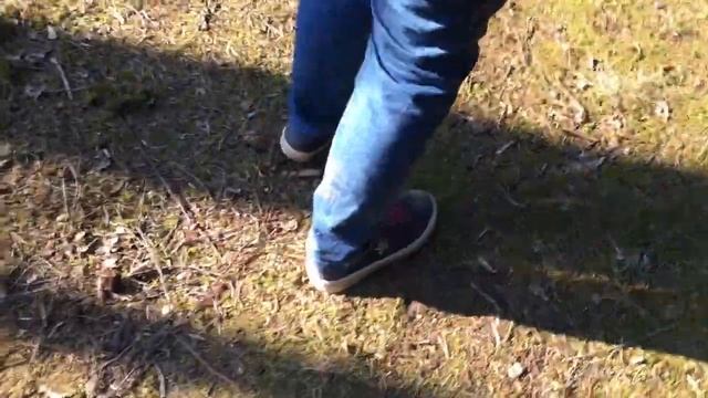 Первая пешеходная прогулка в Латвии / Ogres Zilie Kalni /лучшие природные тропы Латвии / Dabas Park