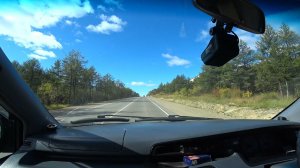 ПОДВЕСНОЙ МОСТ ХАСЫН. РЫЖИЙ НА ДЕРЕВЕ. ЗА ЧЕРЕМУХОЙ, ШИПОВНИКОМ, КРАСНОЙ СМОРОДИНОЙ И БРУСНИКОЙ.